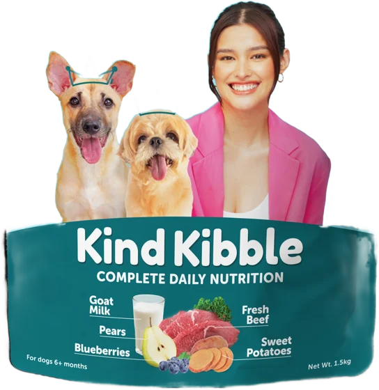 Dr Shiba Kind Kibble 2KG